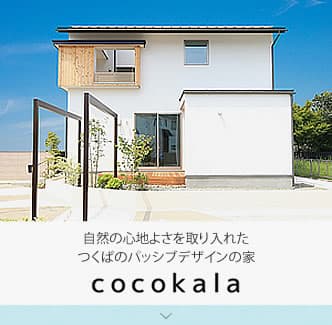 cocokala