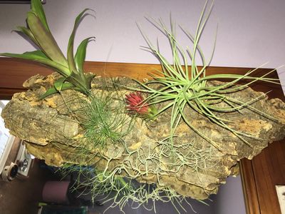 OB様のお宅に行って、”発見！！”