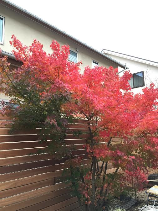 リガーデン工事☆