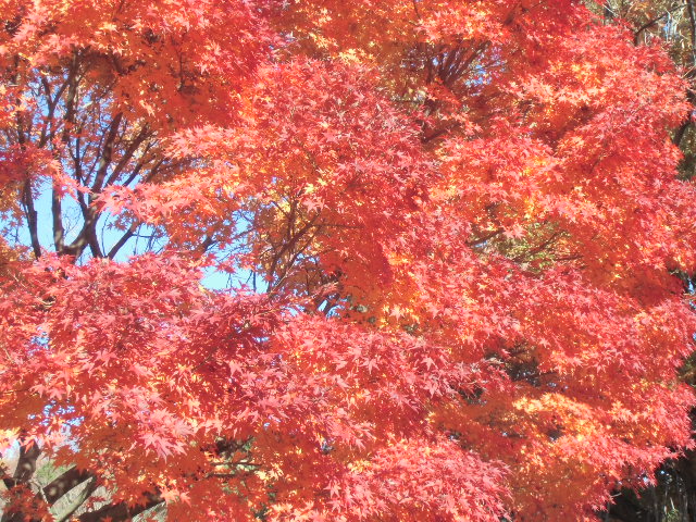 リノベ館からアドバイスです。冬にかけて要注意です！