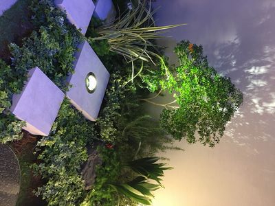 ライティング・フェアにて♪