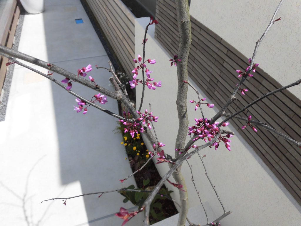 リノベ施工物件見てください