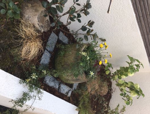 “リノベ＆ガーデン見学会開催♪”