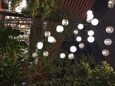 “新作発表会♪”