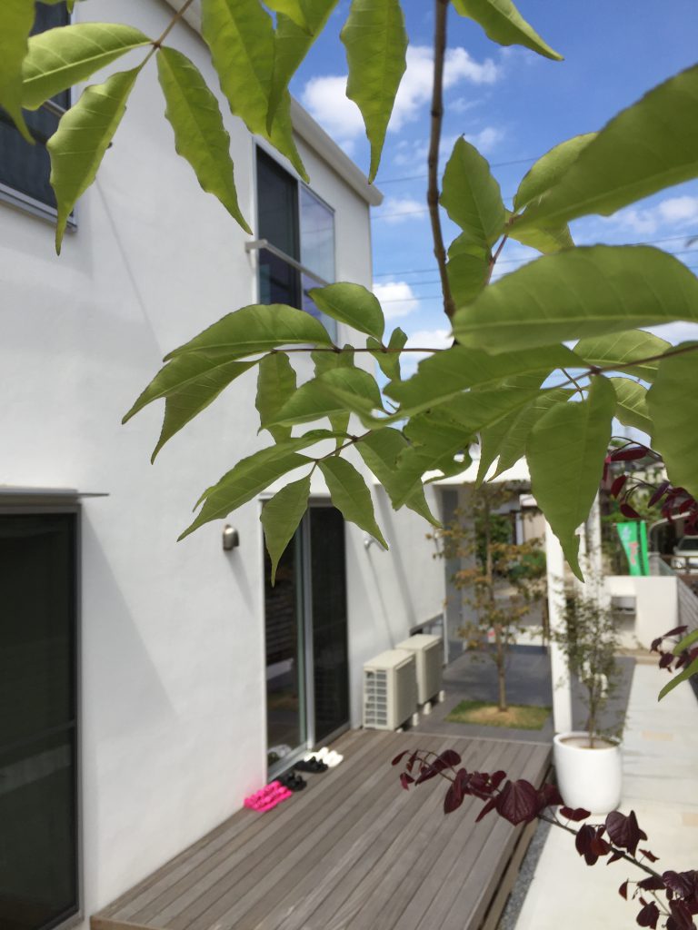 GWもオープンしてます！