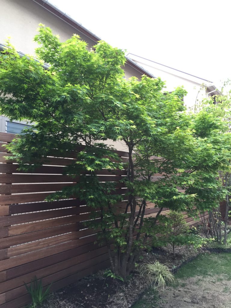 リガーデンの定期訪問☆