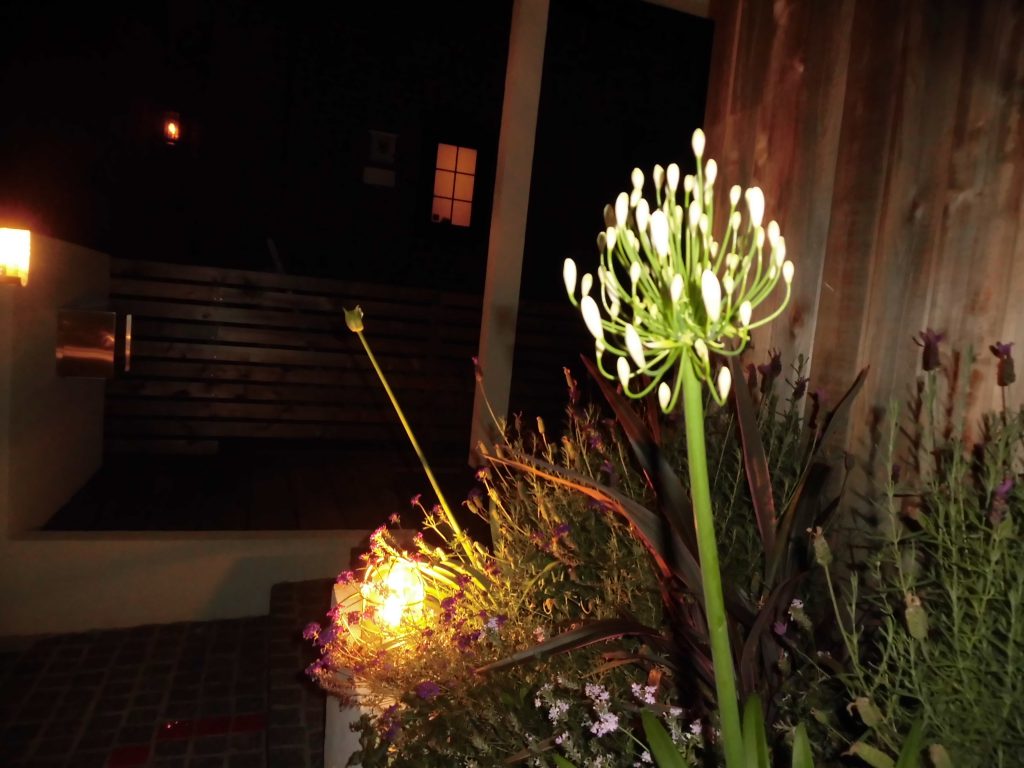 リノベ館の夜景もいいね