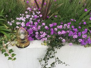 IMG_0099