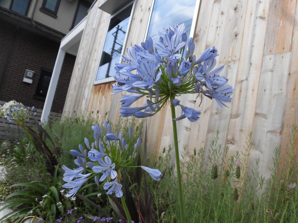 車庫内装を楽しもう