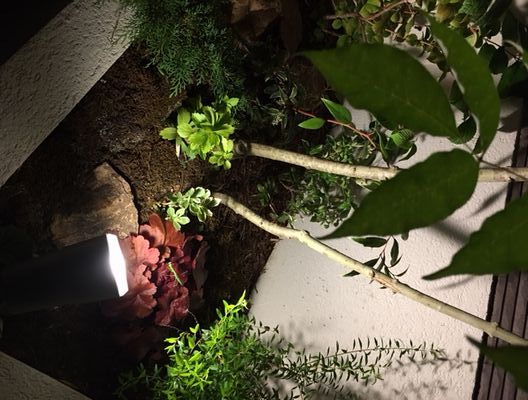 “夜のリノベ館”