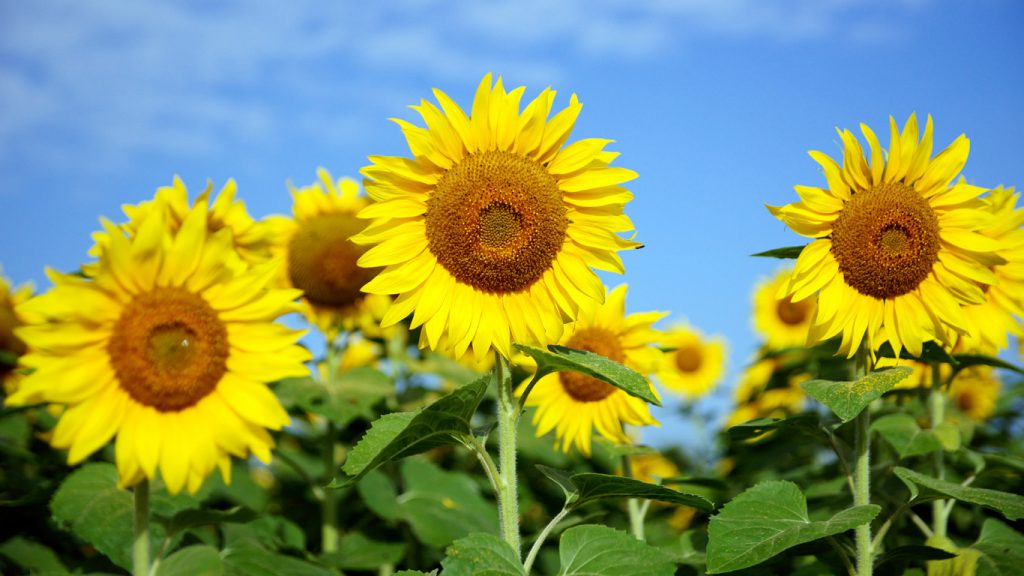 夏季休暇の前に・・・。