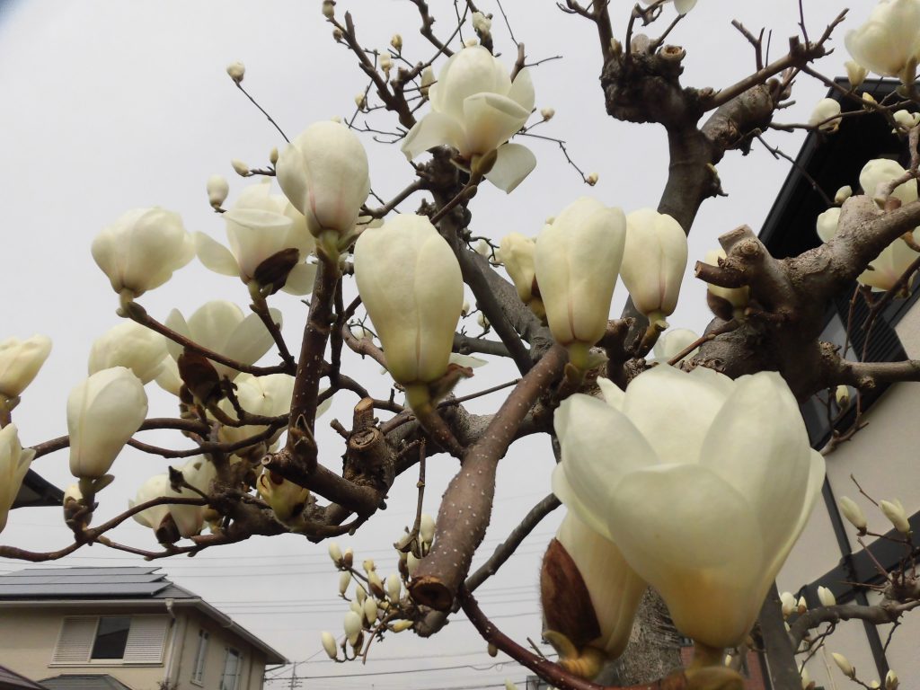 リノベ施工耐震セミナー受付中