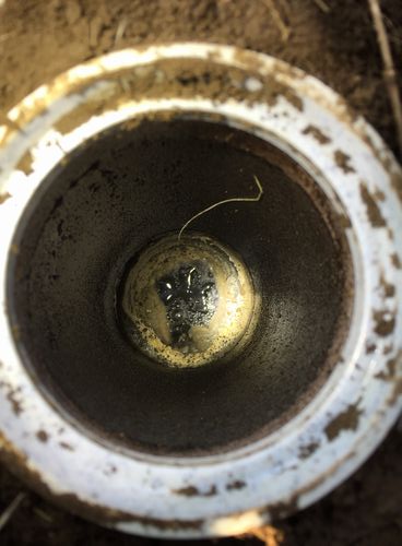 住宅に汚水桝チェックしてますか？