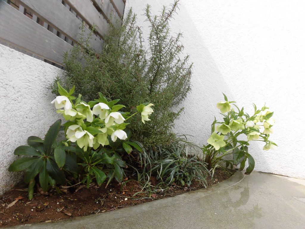 今度の土日は見学会です