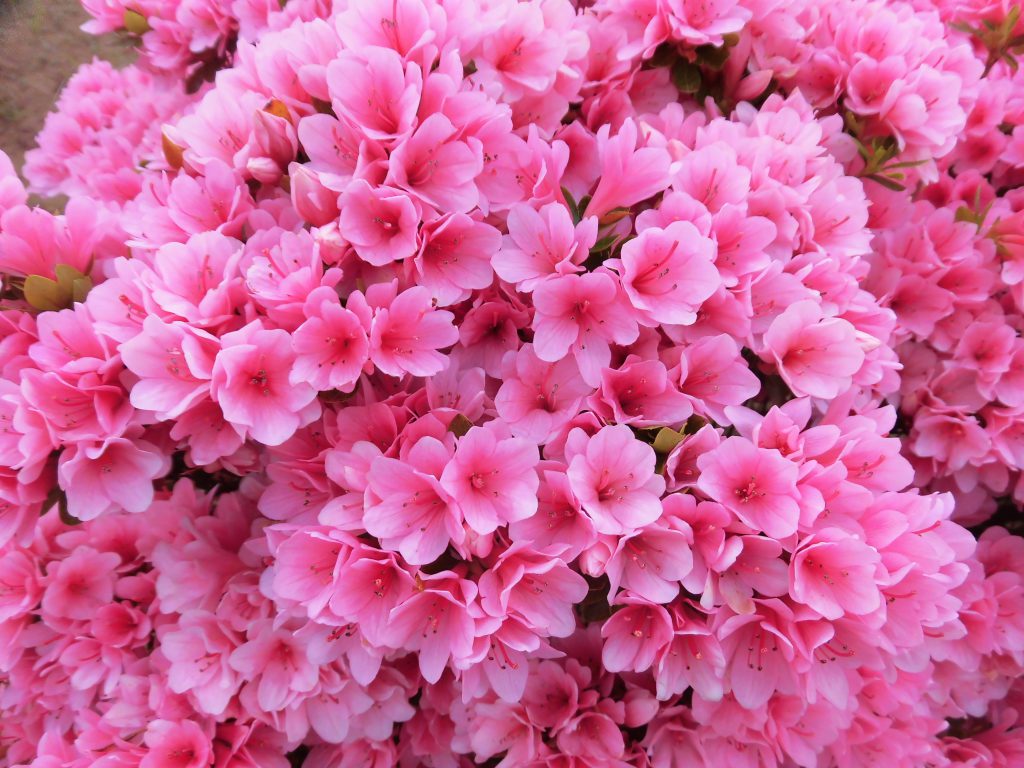 リノベ施工と屋起こし作業