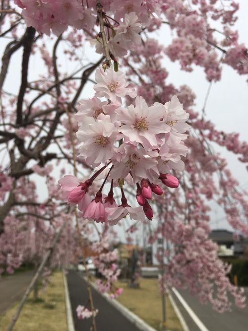 雨漏れの調査！