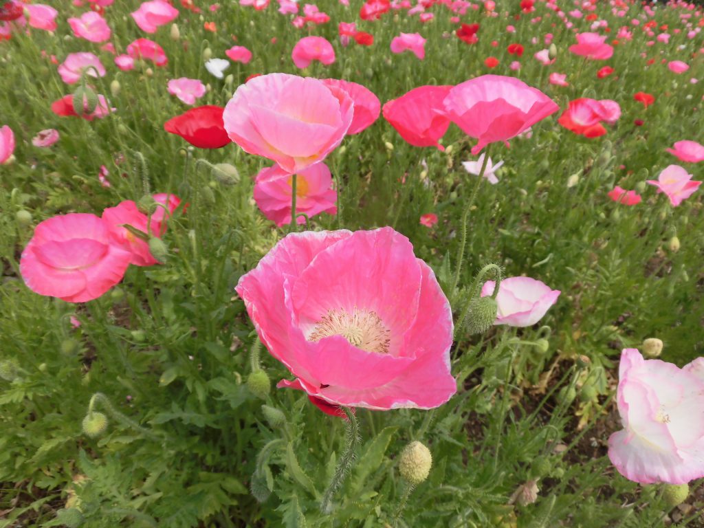 耐震改修しています。