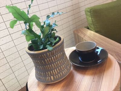 “グリーンで心安らかに♪”