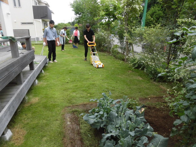 梅雨の合間にやることは・・・