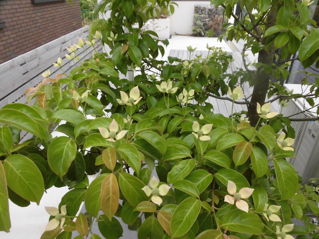 リノベ現場の造作工事は…