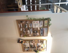 掲示板リニューアル