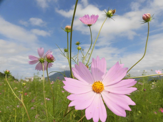 リノベの現場が忙しい