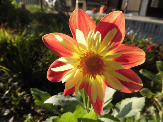 色合わせも楽しいね。