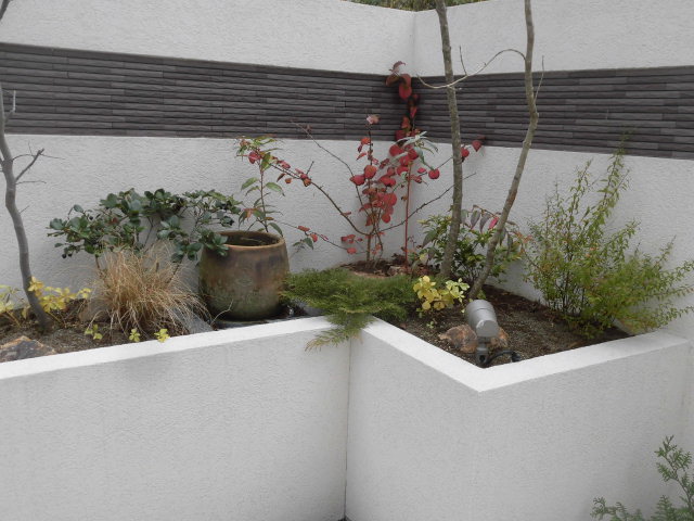 晩秋の冷え込み