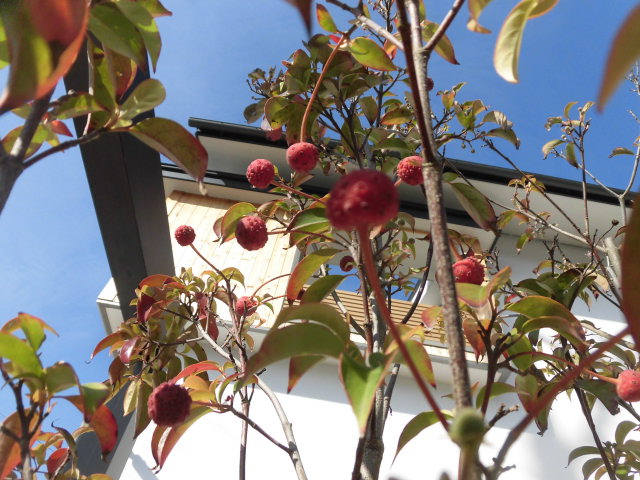 カイテキマガジン特集紹介
