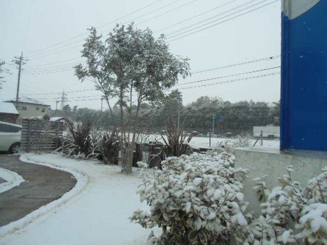 リノベの現場は木部を生かした塗装をしています