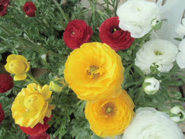 住宅の性能を維持するために・・・