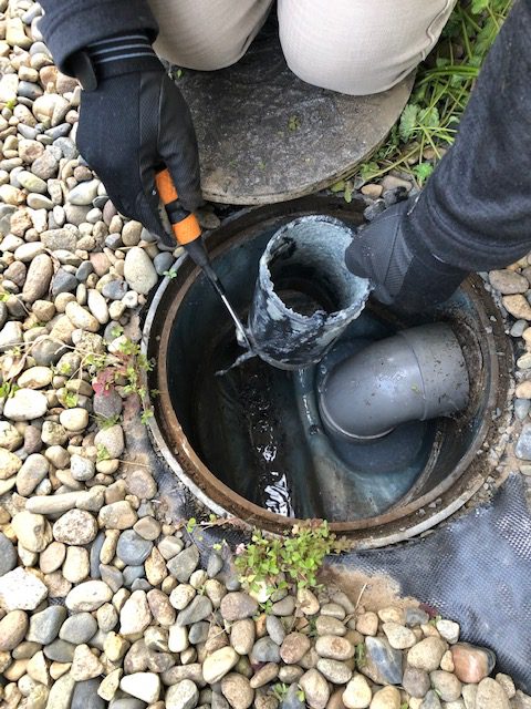 普段見ない枡の中