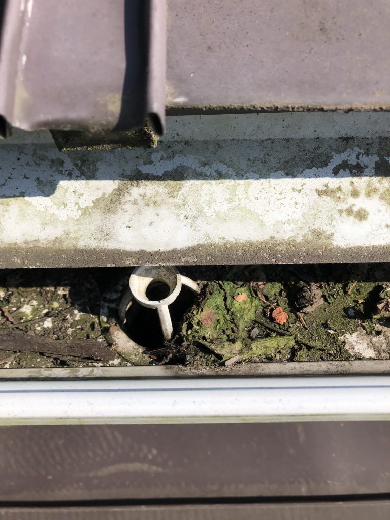 住宅の雨樋清掃しましょう(^^)/