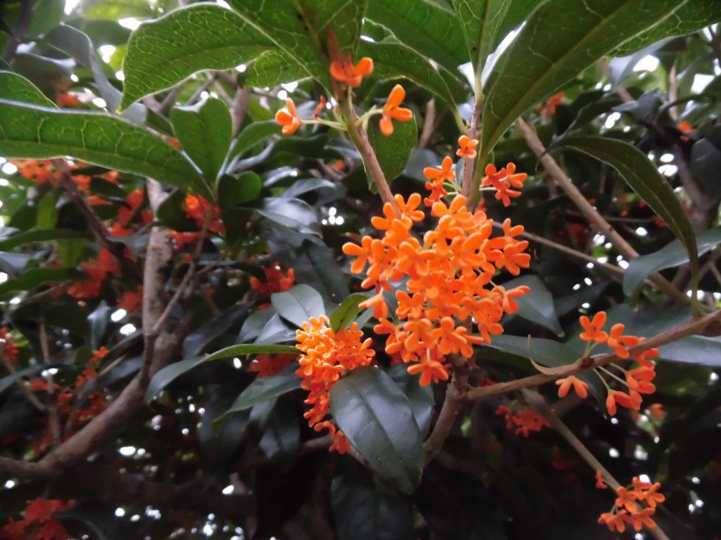 リノベの現場は楽しい現場です。