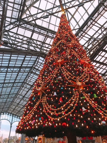 素晴らしい景観