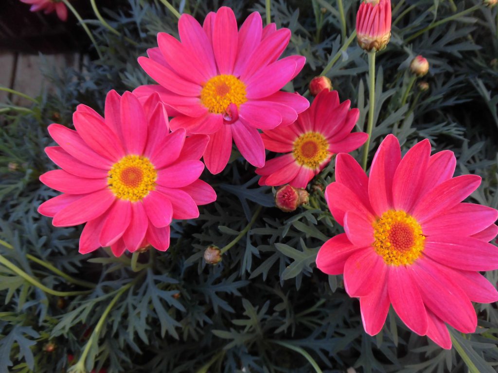 リノベの現場は外装リニュアル