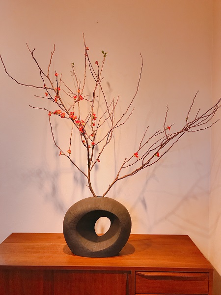 カイテキリノベ　撮影に行ってきました。