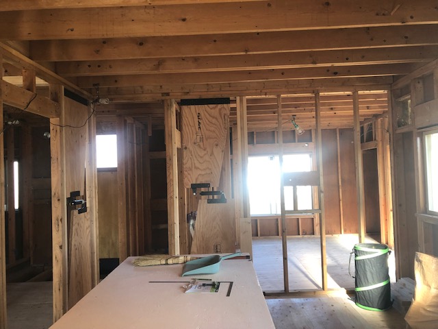 花畑モデル　進捗情報