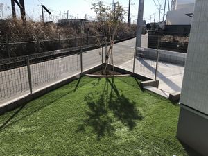 子育て期に助かる　雑草に困らない庭