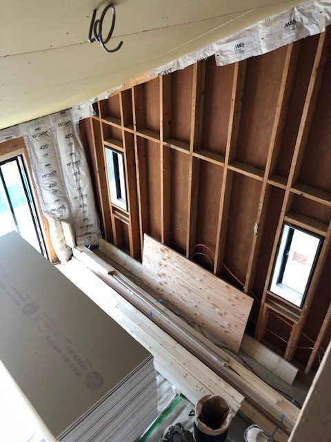 花畑モデル　進捗情報