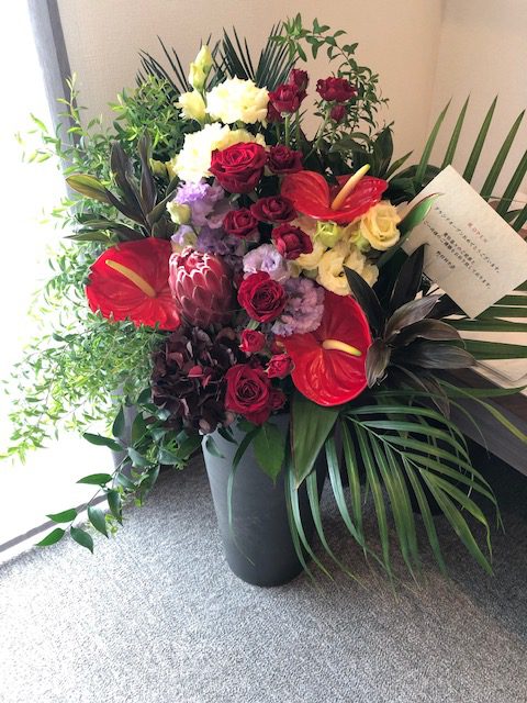 花畑モデルグランドオープン1日目