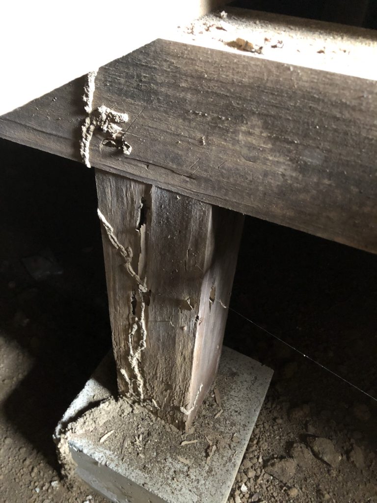 住宅診断で白蟻被害を発見！