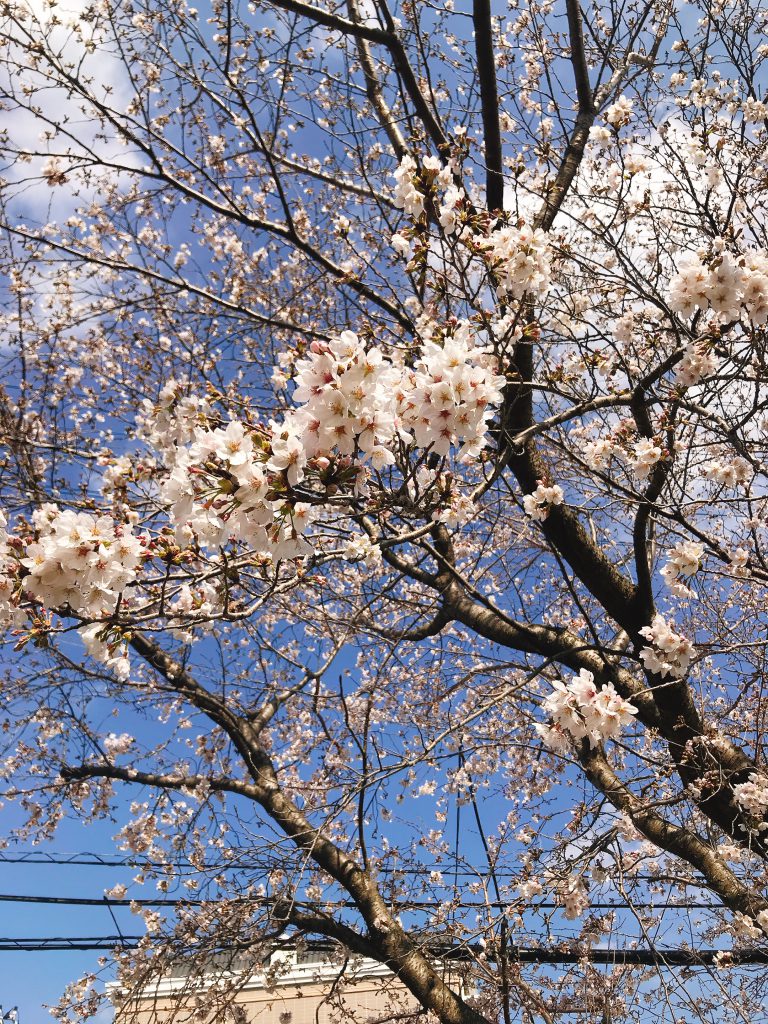 お引渡ししました。