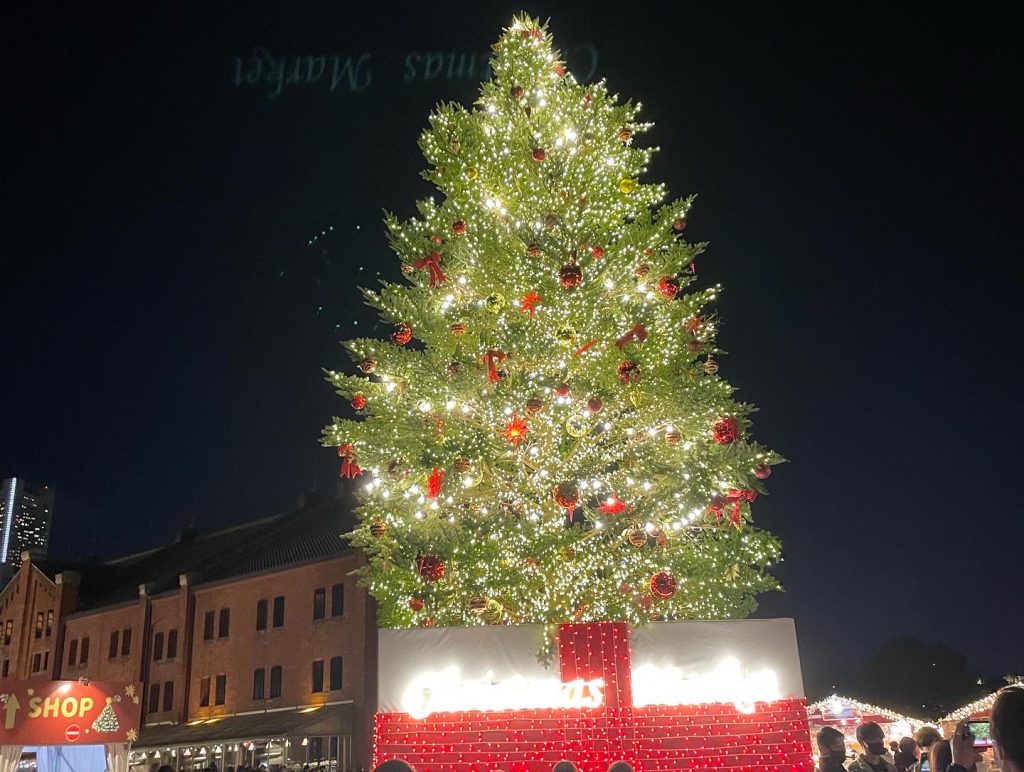 今年最後にメンテナンスを。