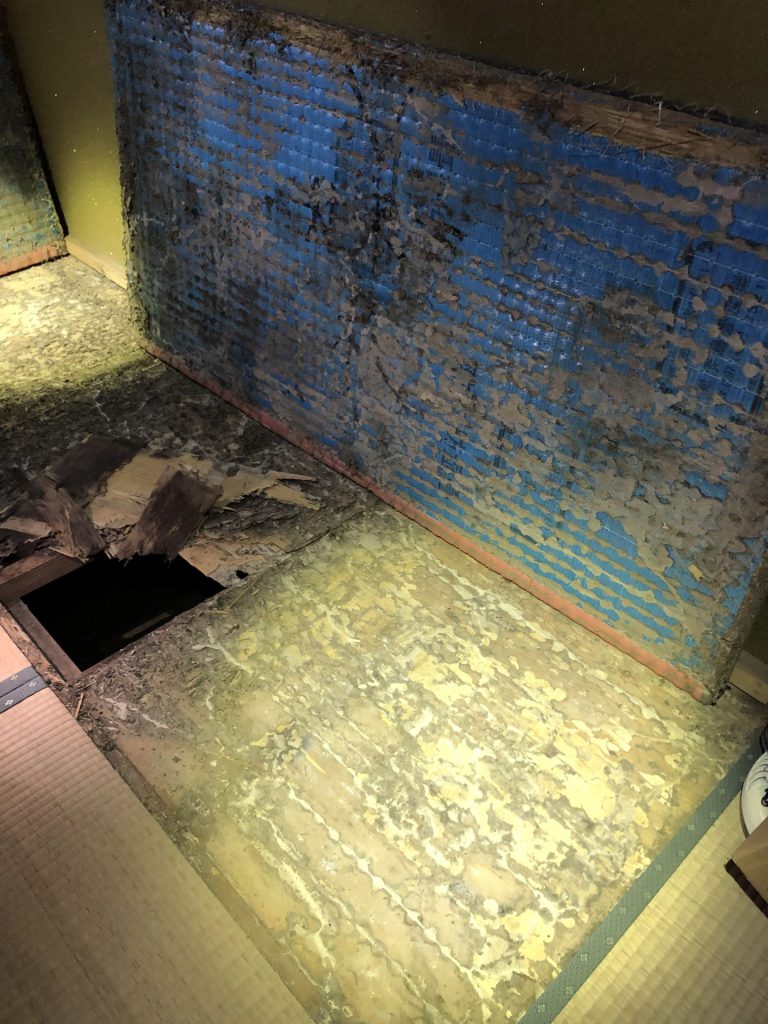 定期的に白蟻消毒を・・・。