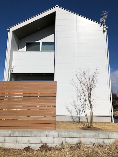 ウッドフェンスとイロハモミジ