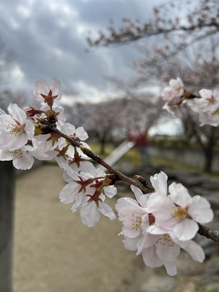 和のリノベーション