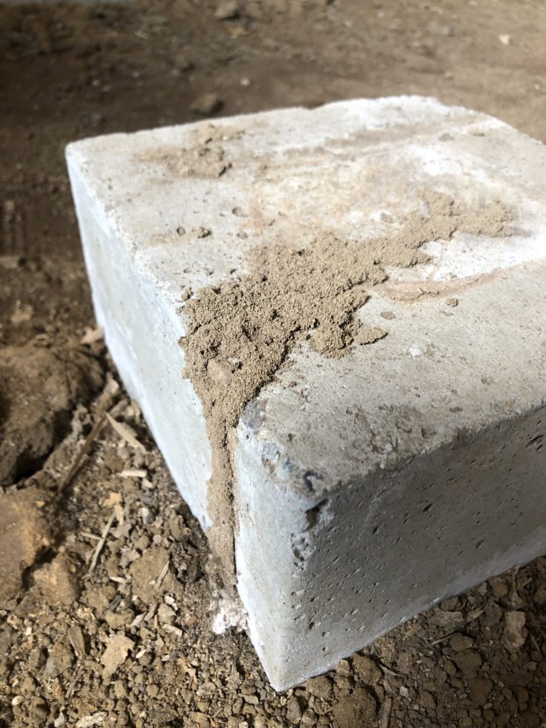 つくば市でリフォーム工事中！白蟻被害の怖さ。