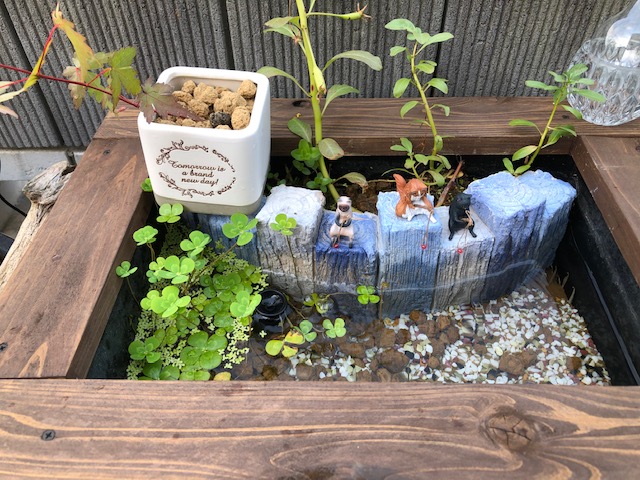 カイテキOB様の5年目のお庭