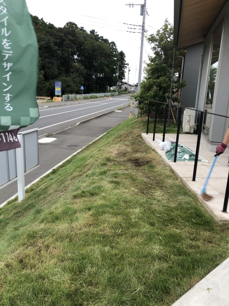 草刈りでお庭すっきり